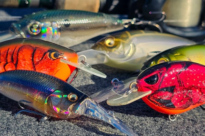 8 Best Crankbait Lures for Deep Water in 2026