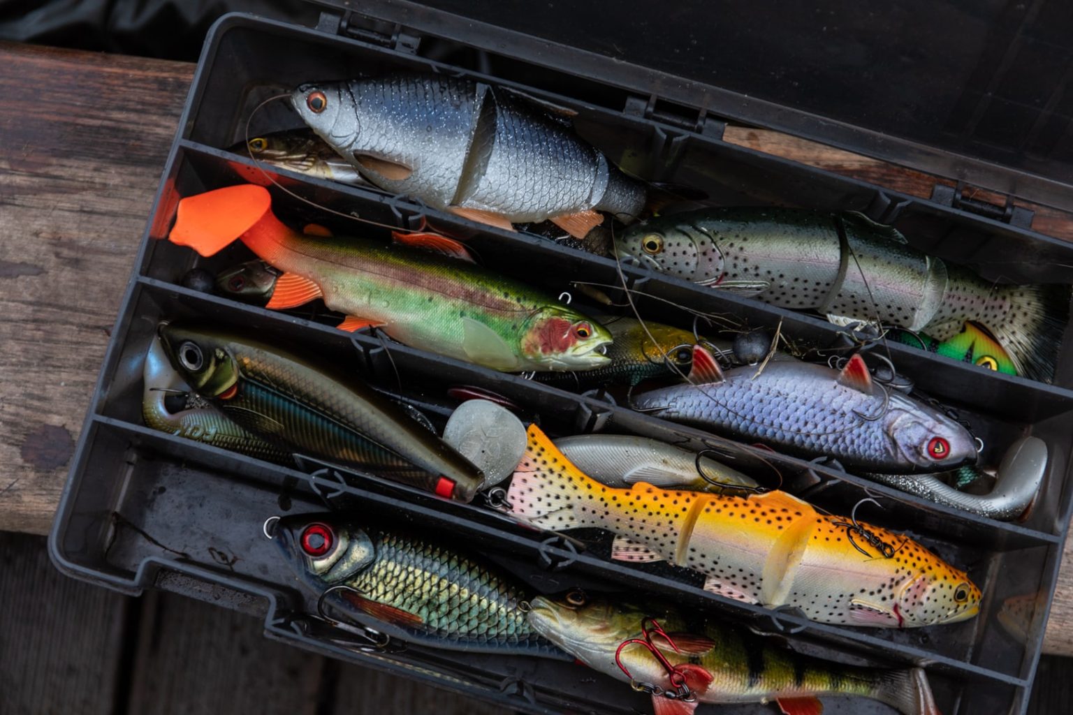 Fish Riet 7 Best Fishing Lure Kits for Beginners in 2026 - Fishing Rite