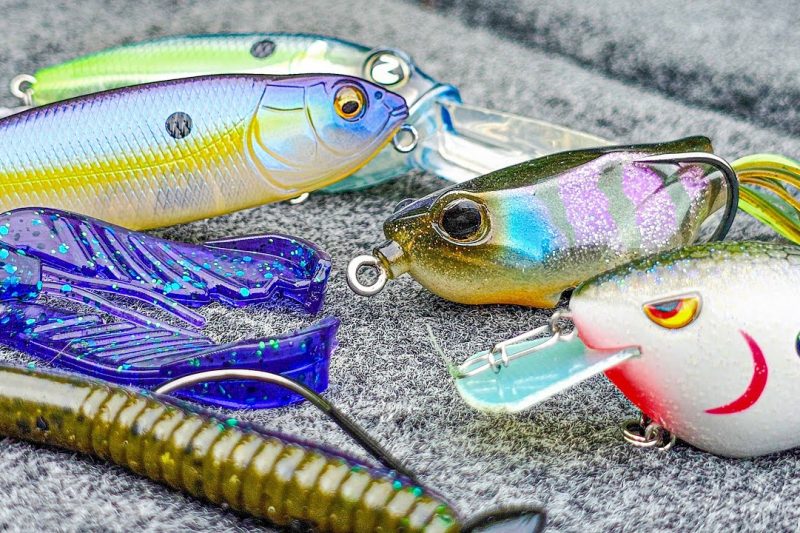 7 Best Fishing Lures for Bass in Summer in 2026