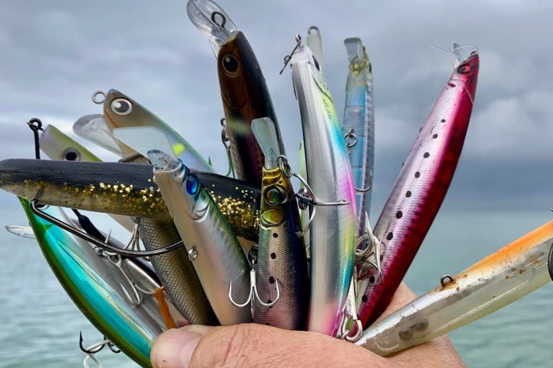 8 Best Saltwater Fishing Lures for Beginners in 2026