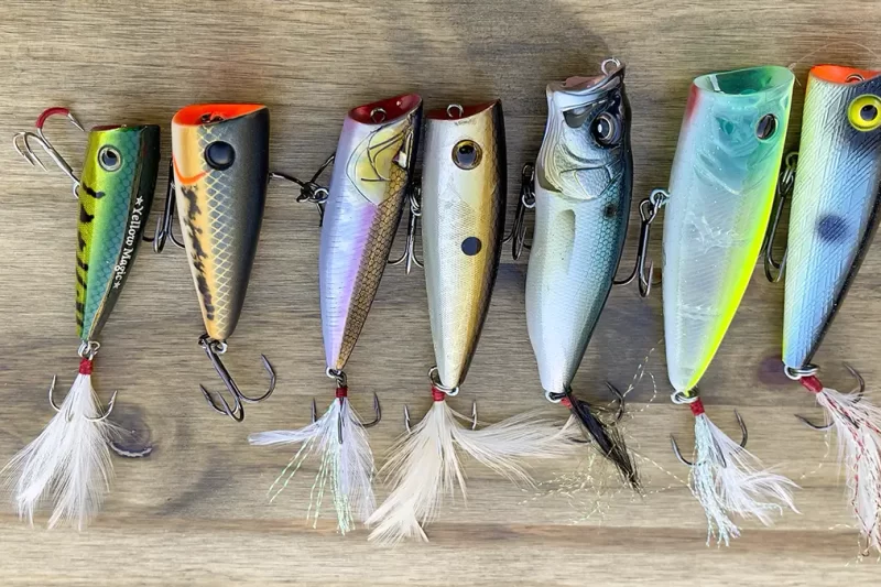 8 Best Topwater Lures for Aggressive Fish in 2026