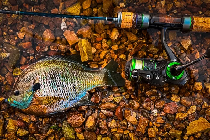 8 Best Ultralight Fishing Rods for Trout in 2026